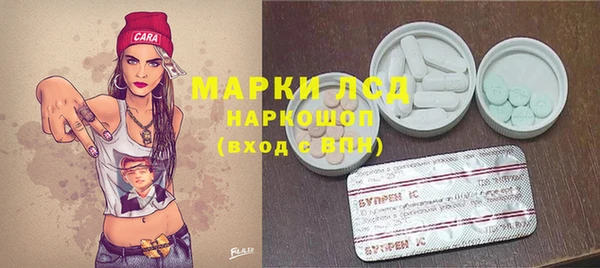 гидра Вязьма