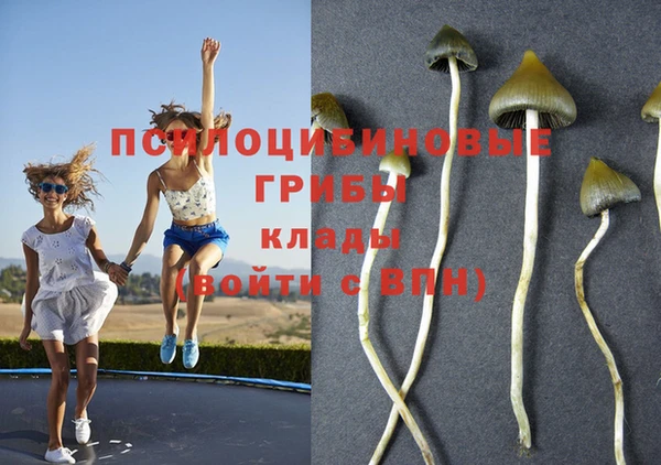 спайс Алексин