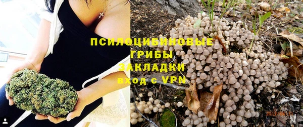 гидра Армянск