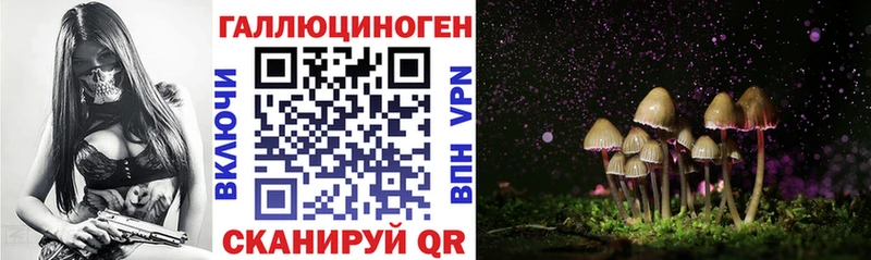 Галлюциногенные грибы Cubensis  наркота  Фатеж 