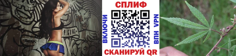Конопля планчик  Фатеж 